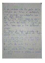 Ricerca sui gatti prima e seconda primaria