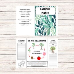 Lapbook piante da stampare