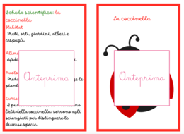 Animali della Primavera – Carte Montessori con Schede Scientifiche e Attività di Classificazione- classi 1/2 e scuola dell'infanzia