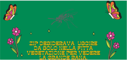Il moscerino curioso