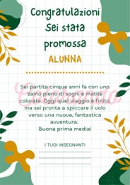 10 DIPLOMI DI PROMOZIONE DALLA QUINTA ELEMENTARE ALLA PRIMA MEDIA