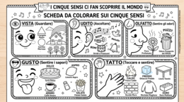 I CINQUE SENSI