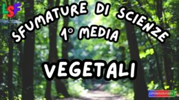 Vegetali_KIT MULTIMODALE SCIENZE 1°media_slide+ infografica+ mappa mentale+ disegno da colorare+VERIFICA LE COMPETENZE+OMAGGIO:VIDEO&PODCAST