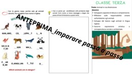 Giornata degli animali - percorso interdisciplinare dalla prima alla quinta con giochi