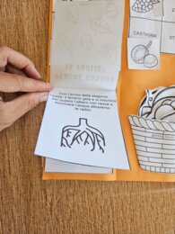 LAPBOOK sull'Autunno