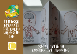 FLIPBOOK: GLI APPARATI DEL CORPO UMANO