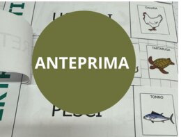 Vertebrati-Invertebrati in CAA