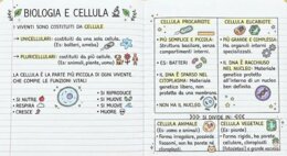 Biologia e cellule