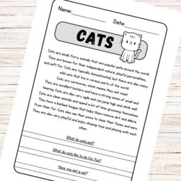 Lettura e comprensione in inglese - Cats