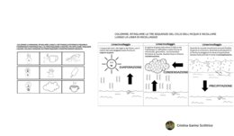 LAPBOOK SULL'ACQUA IN COMPAGNIA DEL DELFINO MARINO