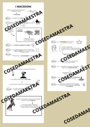 MAPPA CONCETTUALE SUI MACEDONI