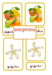 Nomenclatura degli agrumi