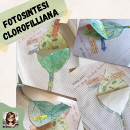 La foglia: un grande laboratorio biochimico (fotosintesi clorofilliana)