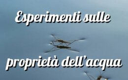 Esperimento scienze: la capillarità e la tensione superficiale