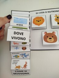 LAPBOOK SUGLI ANIMALI