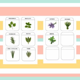Scopriamo le piante officinali e aromatiche