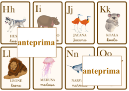Carte dell'alfabeto degli animali con espansioni per leggere e per scrivere