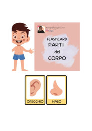 FLASHCARDS PARTI DEL CORPO
