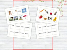 Flashcards Primavera in Inglese – Carte Immagine-Parola, Gioco di Abbinamento e Vocabolario, Infanzia e Scuola Primaria - Montessori - Impara l'inglese giocando - Bellissime carte primaverili per imparare o ripassare parole in inglese