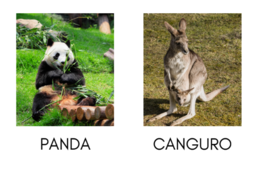 LIBRO DEGLI ANIMALI