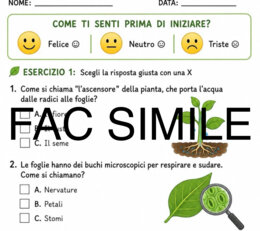 Verifica sui vegetali per DSA