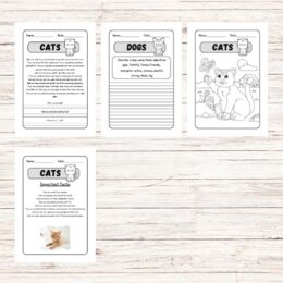 Lettura e comprensione in inglese - Cats