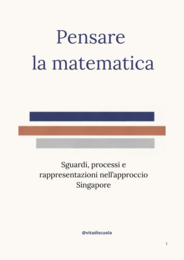 Pensare la matematica - Sguardi, processi e rappresentazioni nell’approccio Singapore