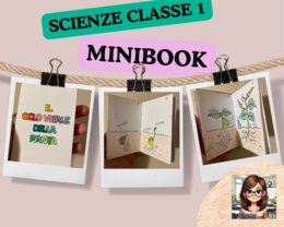MINIBOOK "Il ciclo vitale della pianta"