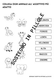 Gli aggettivi qualificativi e possessivi