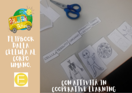 FLIPBOOK - DALLA CELLULA AL CORPO UMANO