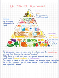 La nutrizione e l’apparato digerente