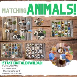 Associazione/Matching animali, dettagli e habitat