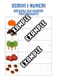 Conta gli oggetti e ripassa sui numeri tratteggiati