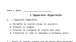 Verifica sull'apparato digerente