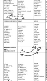 Descrivere un animale