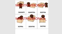 CONCETTI TOPOLOGICI - FLASHCARDS