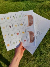 A or AN? Articles for young learners (grammar games)