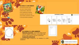 LA CLASSIFICAZIONE DEGLI ANIMALI SECONDO L' HABITAT E IL NUTRIMENTO