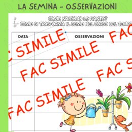 La semina: tabella per registrare le osservazioni