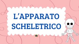 L'APPARATO SCHELETRICO - QUADERNO DI SCIENZE CL. 5^ -
