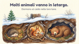 La stagione dell' Inverno è arrivata!