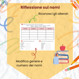 Verifica di Morfologia Completa – Nomi, Articoli, Preposizioni e Analisi Grammaticale (Scuola Primaria)