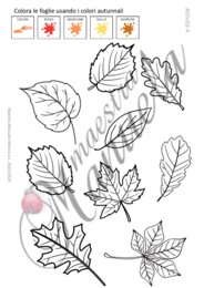 Equinozio d’autunno: attività semplici e creative per la scuola primaria