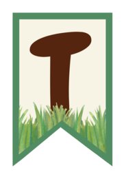Accoglienza classe terza – Bentornati a tema dinosauri