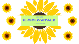Il ciclo vitale