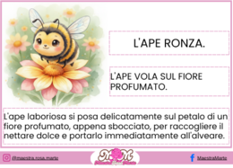 Inizio a leggere