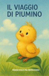 SILENT BOOK : PIUMINO