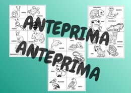 🔬kit Scienze: ripasso - consolidamento - classi 3° - 4° - 5°