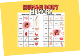 Human Body Memory - Il memory del corpo umano!