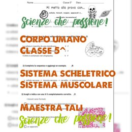 Verifica corpo umano e apparato locomotore